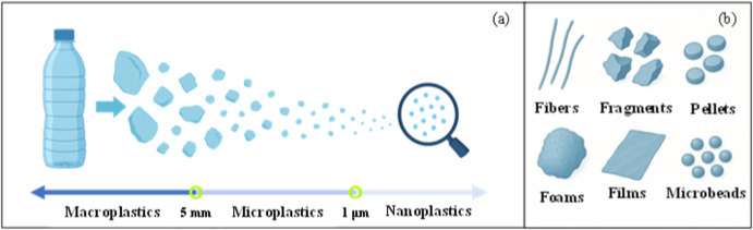 Eliminación de microplásticos y nanoplásticos del agua y de matrices sólidas: tecnologías, retos y perspectivas de futuro